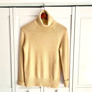 Banana Republic Turtleneck Sweater